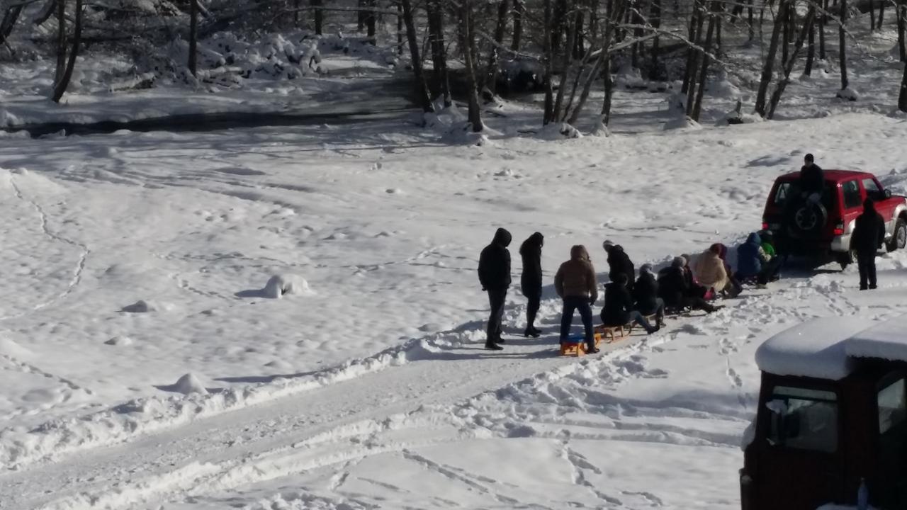 Cabana Barlogul Lupilor Villa Berevoesti Eksteriør billede